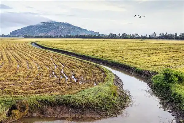 夢見壕溝 水溝